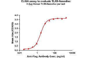 Elisa plates were pre-coated with Flag Tag -Nanodisc (0. (TLR9 Protéine)