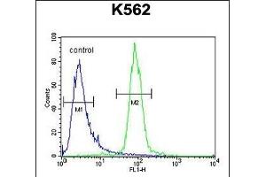 hCG_2024410 Antibody (C-term) (ABIN654993 and ABIN2850479) flow cytometric analysis of K562 cells (right histogram) compared to a negative control cell (left histogram). (hCG_2024410 (AA 187-215), (C-Term) anticorps)