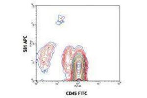 Flow Cytometry (FACS) image for anti-CD34 (CD34) antibody (APC) (ABIN2658629) (CD34 anticorps  (APC))