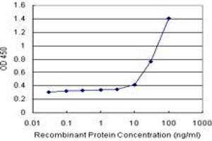 Sandwich ELISA detection sensitivity ranging from 10 ng/mL to 100 ng/mL. (C17orf75 (Humain) Matched Antibody Pair)