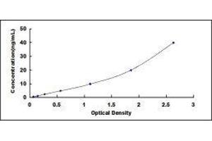 ELISA image for Insulin-Like Growth Factor 2 Receptor (IGF2R) ELISA Kit (ABIN414780) (IGF2R Kit ELISA)