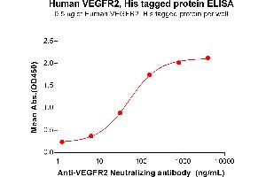 ELISA plate pre-coated by 5 μg/mL (100 μL/well) Human VE protein, His Tag (ABIN6964112, ABIN7042479 and ABIN7042480) can bind Anti-VE Neutralizing antibody ABIN7093076 and ABIN7272606 in a linear range of 6. (VEGFR2/CD309 Protein (AA 20-764) (His tag))