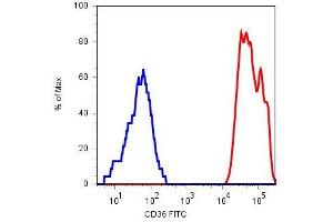 Surface staining of human platelets with anti-CD36 (TR9) FITC. (CD36 anticorps  (FITC))