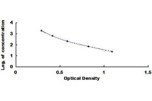 Typical standard curve (Copeptin Kit ELISA)