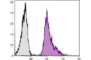 BALB/c mouse splenocytes were stained with Rat Anti-Mouse CD18-BIOT. (Integrin beta 2 anticorps  (FITC))