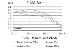 ELISA image for anti-Neurofilament, Light Polypeptide (NEFL) antibody (ABIN1108417) (NEFL anticorps)