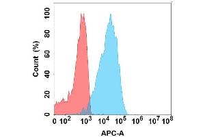 Flow cytometry analysis with Anti-IL22 on Expi293 cells transfected with human IL22 (Blue histogram) or Expi293 transfected with irrelevant protein (Red histogram). (IL-22 anticorps)