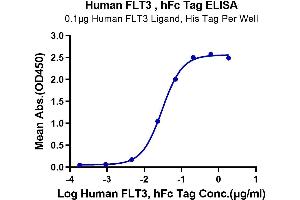 ELISA image for Fms-Related tyrosine Kinase 3 (FLT3) (AA 27-541) protein (Fc Tag) (ABIN7274657)