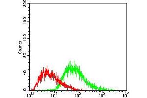 Fig. (PPARGC1B anticorps  (AA 195-414))