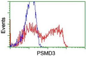 Flow Cytometry (FACS) image for anti-Proteasome (Prosome, Macropain) 26S Subunit, Non-ATPase, 3 (PSMD3) antibody (ABIN1499979) (PSMD3 anticorps)