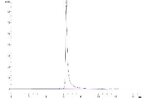 Size-exclusion chromatography-High Pressure Liquid Chromatography (SEC-HPLC) image for Insulin-Like Growth Factor 1 Receptor (IGF1R) (AA 31-932) protein (His-Avi Tag) (ABIN7274862)