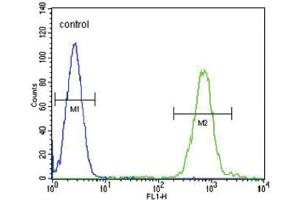 Flow Cytometry (FACS) image for anti-Solute Carrier Family 8 (Sodium/calcium Exchanger), Member 1 (SLC8A1) antibody (ABIN3003974) (SLC8A1 anticorps)