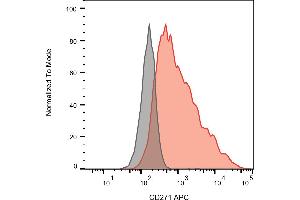 Flow cytometry analysis of Surface staining of REH cells using CD271 Antibody (APC). (NGFR anticorps  (APC))