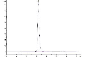 The purity of Mouse PD-L1 is greater than 95 % as determined by SEC-HPLC. (PD-L1 Protein (AA 19-237) (Fc Tag))