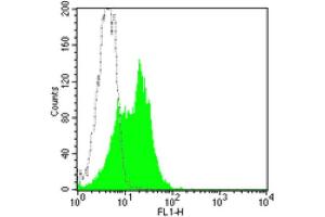 Flow Cytometry (FACS) image for anti-Intercellular Adhesion Molecule 1 (ICAM1) antibody (FITC) (ABIN2144636) (ICAM1 anticorps  (FITC))