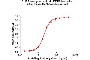 ELISA image for Epithelial Membrane Protein 2 (EMP2) protein (ABIN7538226)