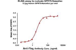 Elisa plates were pre-coated with Flag Tag -Nanodisc (0. (GPR75 Protéine)