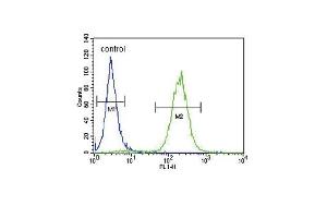 Flow Cytometry (FACS) image for anti-ATPase, Na+/K+ Transporting, alpha 2 Polypeptide (ATP1A2) (AA 451-479) antibody (ABIN652011)