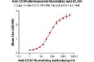 ELISA plate pre-coated by 2 μg/mL (100 μL/well) Human CD38, hFc-His tagged protein (ABIN6961077, ABIN7042183 and ABIN7042184) can bind Anti-CD38 Neutralizing antibody in a linear range of 0. (Recombinant CD38 (Daratumumab Biosimilar) anticorps)