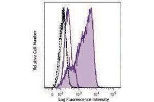 Flow Cytometry (FACS) image for anti-Interferon Regulatory Factor 4 (IRF4) antibody (Alexa Fluor 488) (ABIN2657086) (IRF4 anticorps  (Alexa Fluor 488))