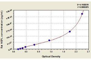 Typical standard curve (NEFL Kit ELISA)