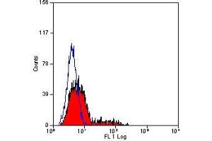 Flow Cytometry (FACS) image for anti-Killer Cell Lectin-Like Receptor Subfamily D, Member 1 (KLRD1) antibody (ABIN2472843) (CD94 anticorps)