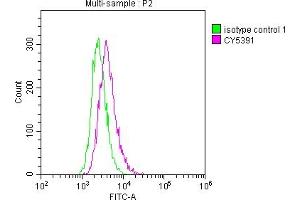 Overlay histogram showing Raji cells stained with ABIN7127559 (red line) at 1:50. (Recombinant ICAM1 anticorps)