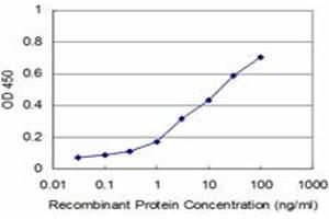 Detection limit for recombinant GST tagged UBTF is approximately 1ng/ml as a capture antibody. (UBTF anticorps  (AA 551-650))