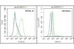 HL-60 (Positive) and huvec (Negative control) cells (black) were incubated in 5% BSA blocking buffer for 30 min at room temperature. (NCR3 anticorps  (AA 81-180))