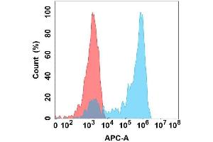 Flow cytometry analysis with Anti-Nectin4 on Expi293 cells transfected with human Nectin4 (Blue histogram) or Expi293 transfected with irrelevant protein (Red histogram). (PVRL4 anticorps)