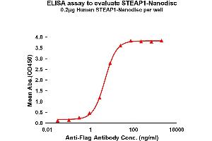 Elisa plates were pre-coated with Flag Tag ST-Nanodisc (0. (STEAP1 Protéine)