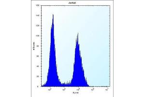 Flow Cytometry (FACS) image for anti-Transmembrane Protease, serine 15 (TMPRSS15) antibody (ABIN2996619) (TMPRSS15 anticorps)