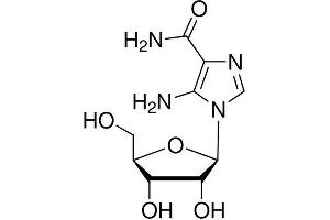 Molecule (M) image for AICAR (ABIN5022329)