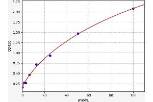 Typical standard curve (Cathepsin K Kit ELISA)
