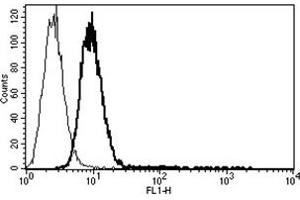 Flow Cytometry (FACS) image for anti-CD34 (CD34) antibody (FITC) (ABIN1106304) (CD34 anticorps  (FITC))