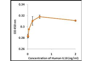 Activity Assay (AcA) image for Interleukin 18 (IL18) (Active) protein (ABIN5509343) (IL-18 Protéine)