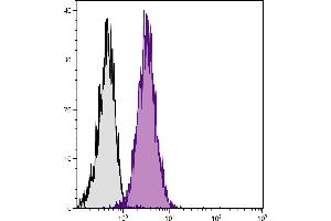 BALB/c mouse splenocytes were stained with Rat Anti-Mouse CD102-FITC. (ICAM2 anticorps  (FITC))