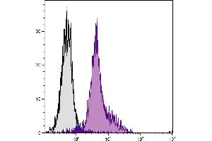 Flow Cytometry (FACS) image for Mouse anti-Rat IgG2a antibody (FITC) (ABIN376149)