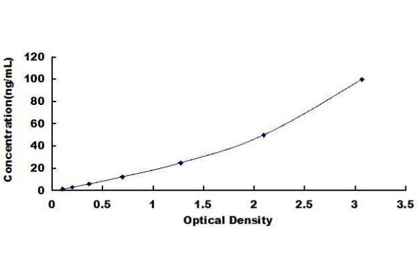 HDAC4 Kit ELISA