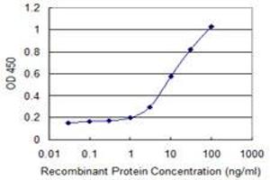 Detection limit for recombinant GST tagged CFC1 is 0. (CFC1 anticorps  (AA 27-93))