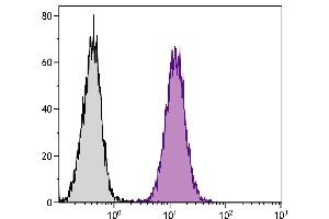 Mouse Mφ cells were intracellularly stained with Rat  Anti-Mouse CD107a-APC. (LAMP1 anticorps  (APC))