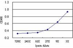 Sandwich ELISA detection sensitivity ranging from approximately 27x to 3x dilution of the PLEK 293T overexpression lysate (non-denatured). (PLEK (Humain) Matched Antibody Pair)