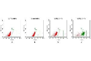 FACS analysis of S MNPs A. (SSTR2 Protéine)