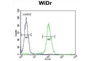 Flow Cytometry (FACS) image for anti-Brain Expressed, X-Linked 1 (BEX1) antibody (ABIN2995790) (BEX1 anticorps)