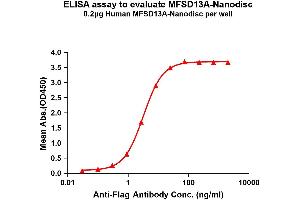 Elisa plates were pre-coated with Flag Tag MA-Nanodisc (0. (TMEM180 Protéine)