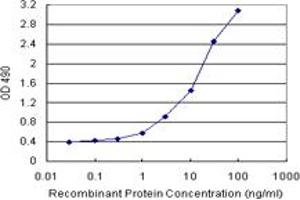 Sandwich ELISA detection sensitivity ranging from 0. (SNAP23 (Humain) Matched Antibody Pair)