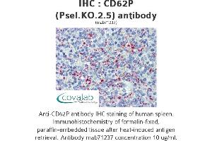 Image no. 2 for anti-Selectin P (Granule Membrane Protein 140kDa, Antigen CD62) (SELP) antibody (ABIN1724063) (P-Selectin anticorps)
