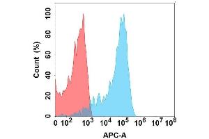 Flow cytometry analysis with Anti-EREG on Expi293 cells transfected with human EREG (Blue histogram) or Expi293 transfected with irrelevant protein (Red histogram). (Epiregulin anticorps)