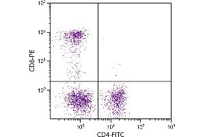 Feline peripheral blood lymphocytes were stained with Mouse Anti-Feline CD4-FITC. (CD4 anticorps  (FITC))