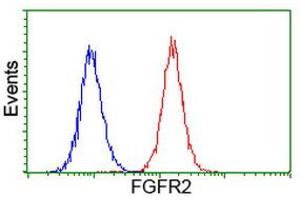Image no. 3 for anti-Fibroblast Growth Factor Receptor 2 (FGFR2) antibody (ABIN1498252) (FGFR2 anticorps)